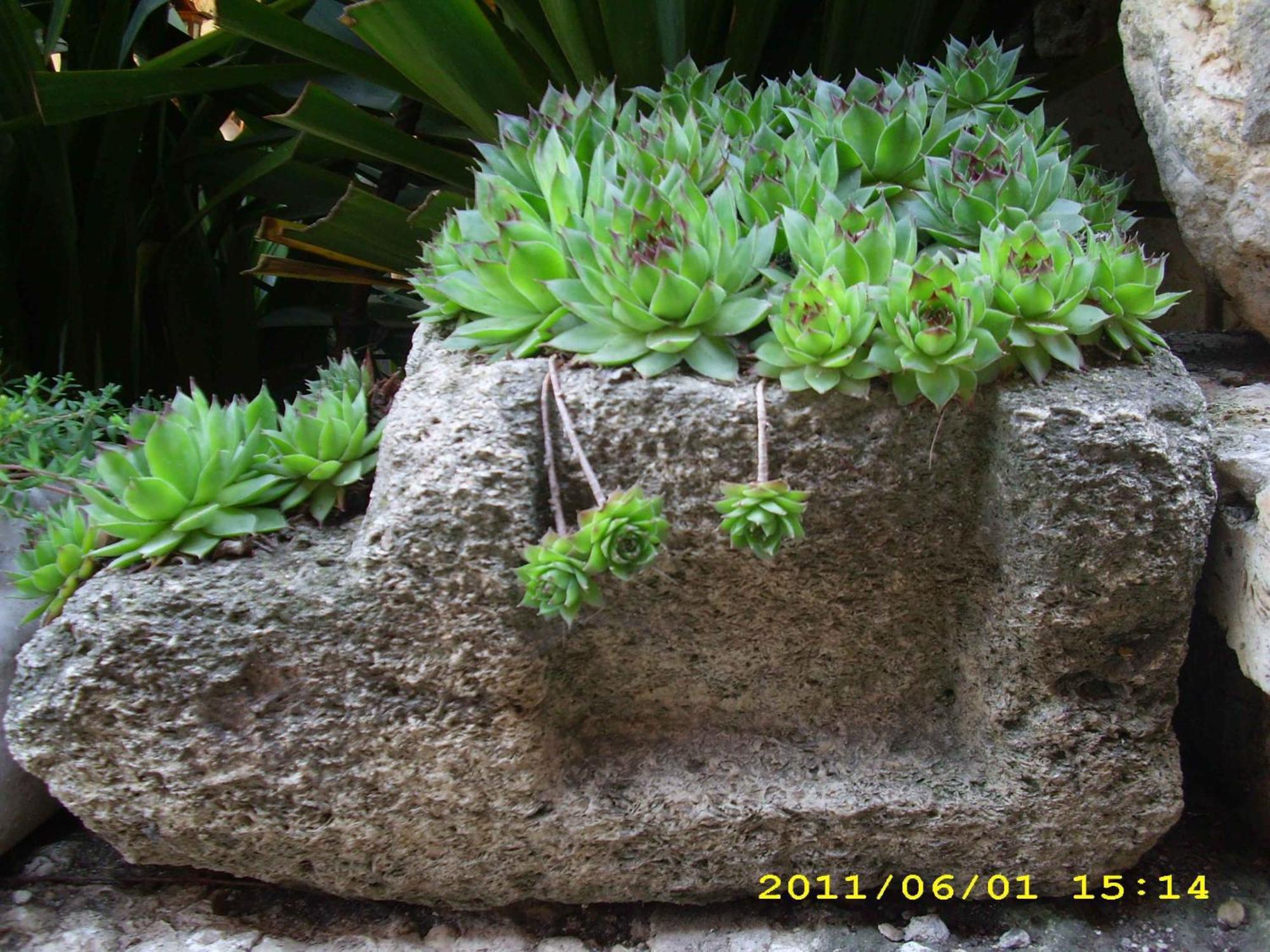 Guest House Villa Katty Balcic Exterior foto